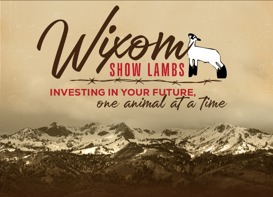 Wixom Show Lambs