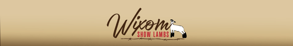 Wixom Show Lambs